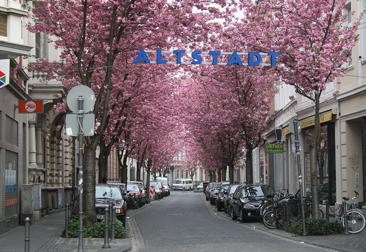 Energieausweis Bonn